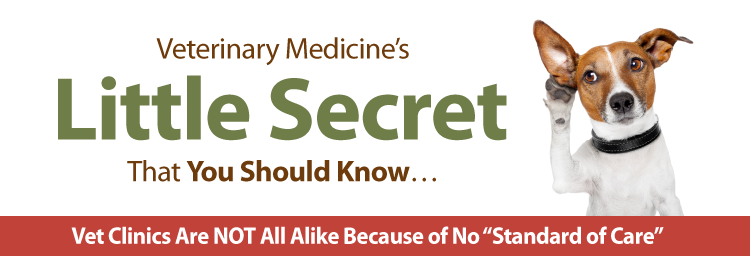 FSV_vet_secrets_web FSV_vet_secrets_web