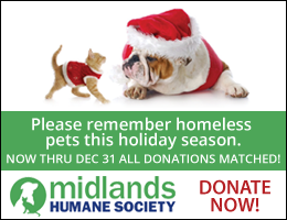 Please remember homeless pets this holiday season. Dontate now!