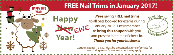 FREE Nail Trims in January 2017!