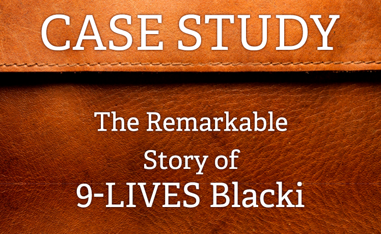 fsv-blog-case-study-blacki