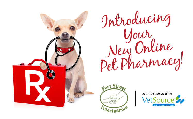 Online Pet Pharmacy | Fort Street Vet In Omaha