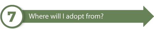 Where will I adopt from?