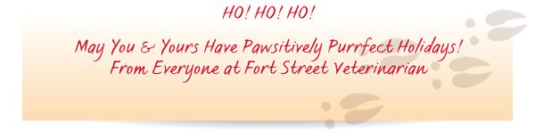 2015 Holiday Greetings from Fort Street Veterinarian